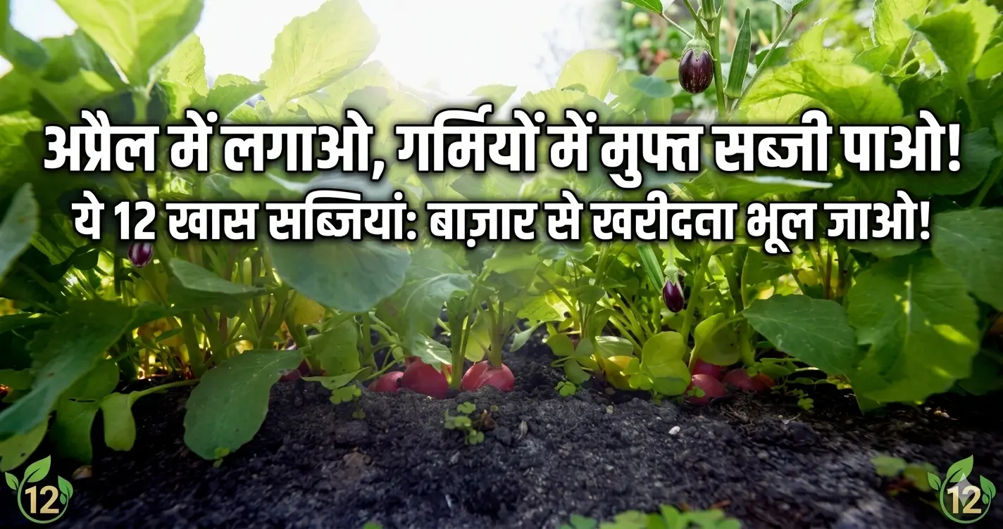 अप्रैल में ये 12 पौधे लगा दिए तो गर्मियों में सब्जी खरीदनी नहीं पड़ेगी!